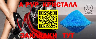 амф Гатчина