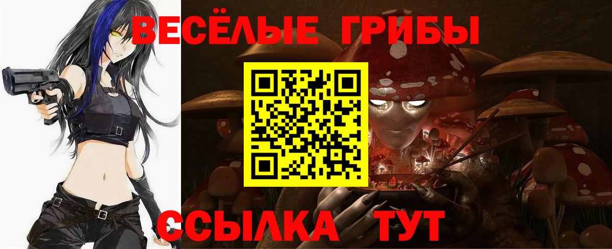 наркота  Галлюциногенные грибы прущие грибы  Вход с VPN  Ростов Великий 